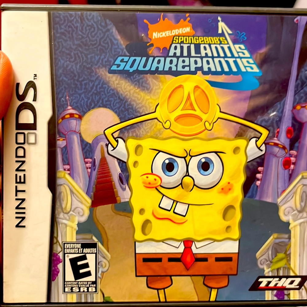 Nintendo DS Game